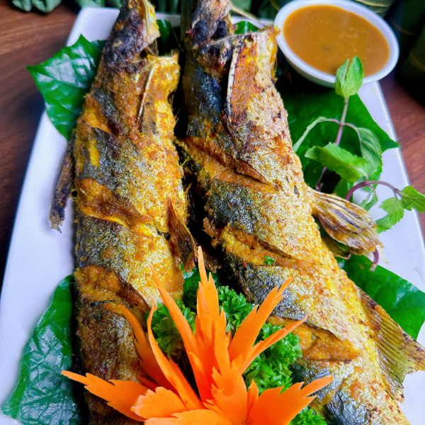Cá úc giá sỉ