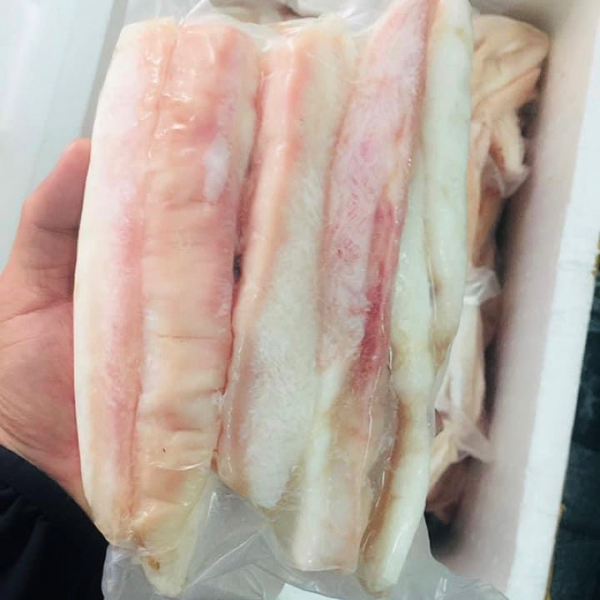 Gân cá ngừ