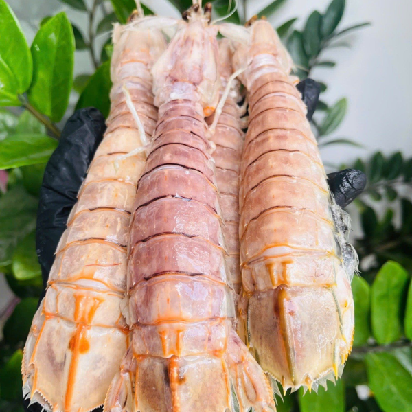 Tôm tít trứng giá sỉ