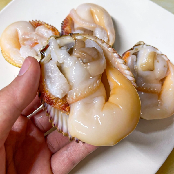 Vựa bán Sò dương